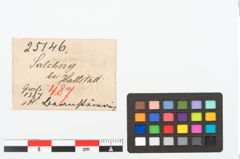 Etikett zu Bernsteinringperle (NHMW-PRAE-025146)